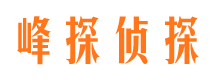 茂港市侦探调查公司